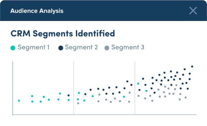 Audience Analysis